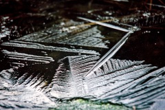 02_7-kuehler-Schmuck-des-ruhendes-Wassers-im-kalten-Winter