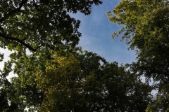 03_1-Alleeimpressionen