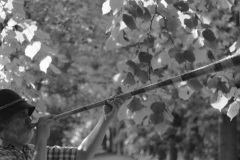 03_4-der-letzte-Hirte