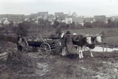03_5-laendliches-Idyll-vor-einem-typischen-urspruenglichen-Ortsrand-gesaeumt-von-herrlichen-Obstgaerten.-im-Suedwesten-um-1920
