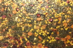 04_5-Brennnesselchiche-Gutes-aus-wilden-Zonen