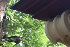 05_3-Architektur-in-Natur