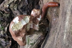 05_4-Bildhauer-mit-Skulptur