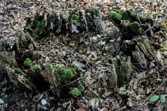 05_6-magischer-Kreis