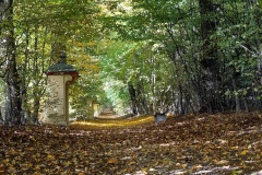 05_8-Impressionismus-mit-dem-Teppich-des-Herbstes