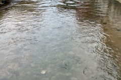 06_2-Bach-in-der-Rinne-sd