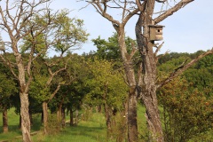 10-sogar-ein-wegig-geometrisch