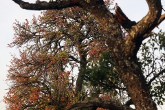 5-zum-Herbst-hin