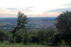 5-noch-ein-Blick-ueber-das-Ambiente-eines-englischen-Landschaftsparks-hinweg