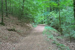 1-dieser-Weg-unterhalb-der-Festung-sd