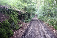 9-der-kleine-Hohlweg-im-Eisensandstein