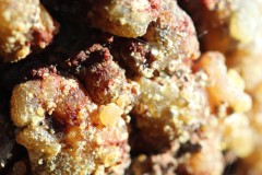 04-verschluss-einer-Baumwunde-Harzskulptur