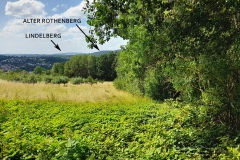 1-vom-Rothenberg-zum-Lindelberg-mit-dem-alten-Rothenberg