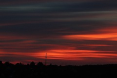 10-immer-noch-der-Sonn-entgegen