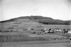 als-es-noch-Hopfen-gab-der-Rothenberg
