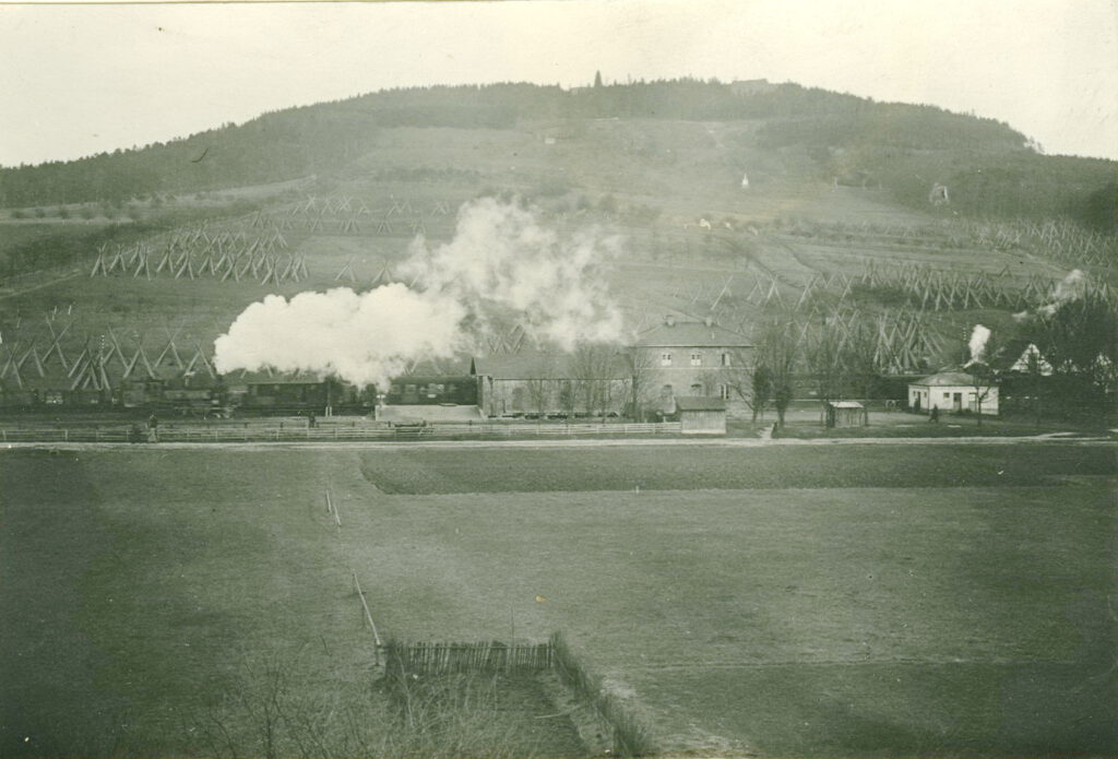 in Dampf gehüllt
